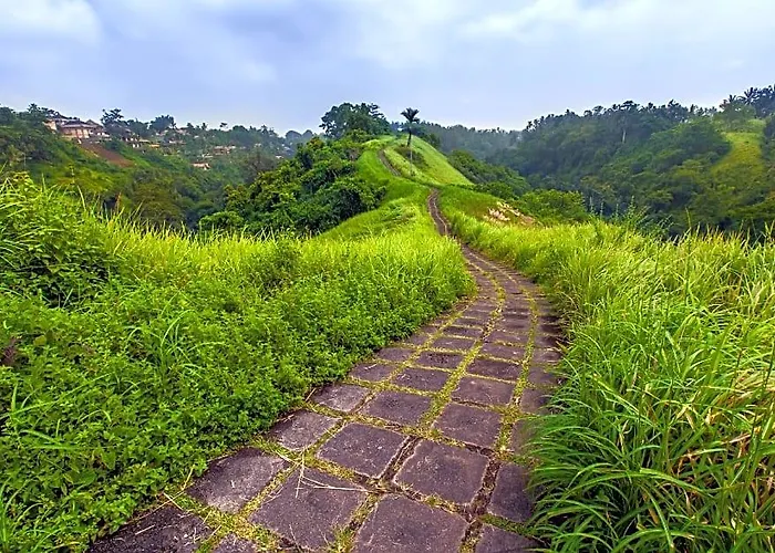 Taman Amartha ウブド